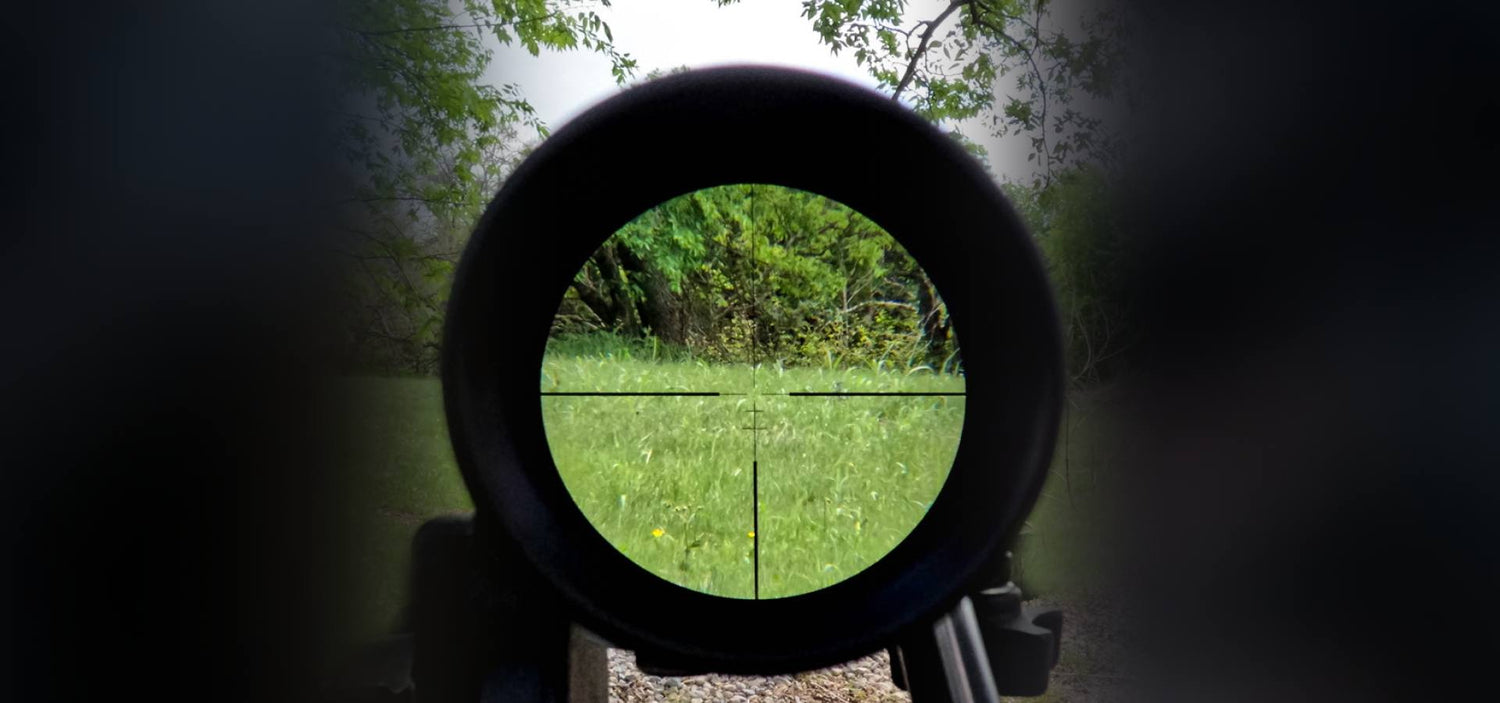  BDC reticle calibrated for .223 55gr 